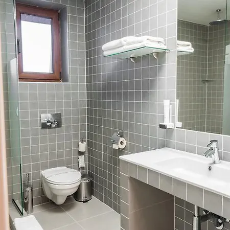 Pensiunea Terra Guest house 4*