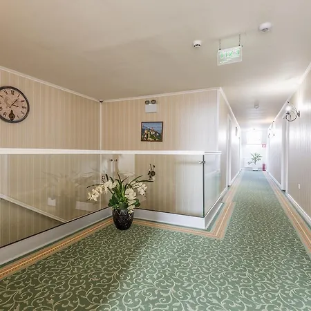 Pensiunea Terra Guest house Bistrita (Bistrita-Nasaud)