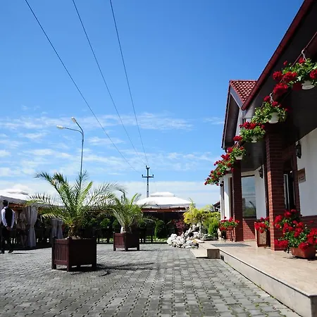 Guest house Pensiunea Terra Bistrita (Bistrita-Nasaud)