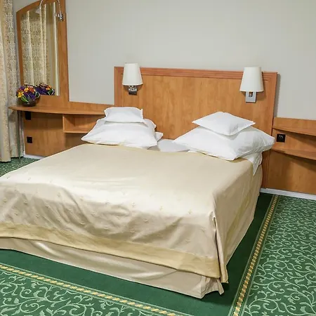 Casa de hóspedes Pensiunea Terra Bistriţa
