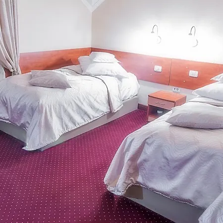Pensiunea Terra 4* Bistriţa